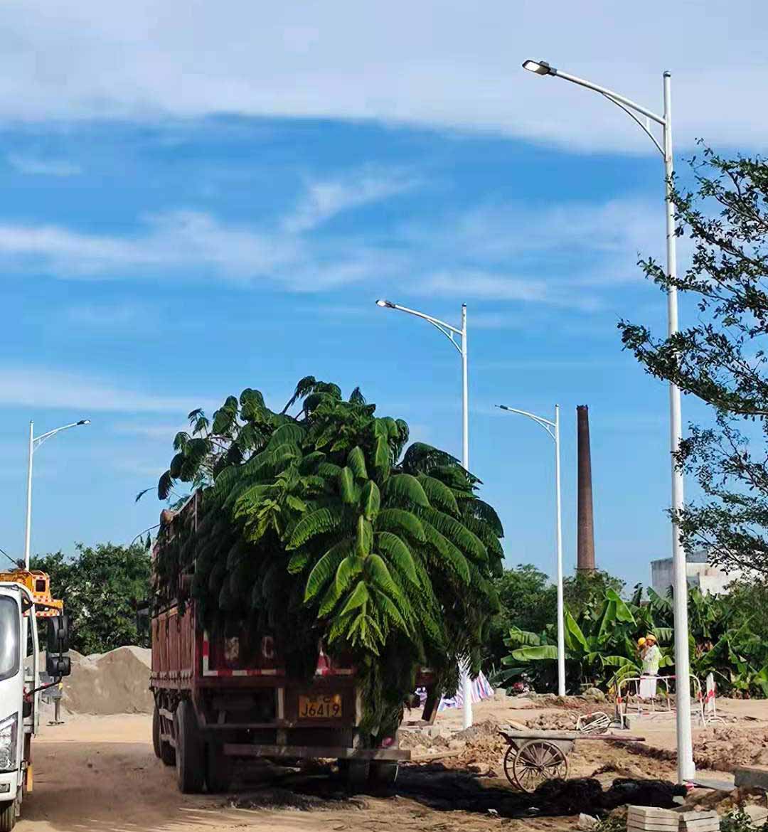 广东商友照明有限公司助力东莞洪梅万科星城道路亮化工程