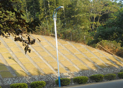 8米路灯杆 ?50W高压钠灯